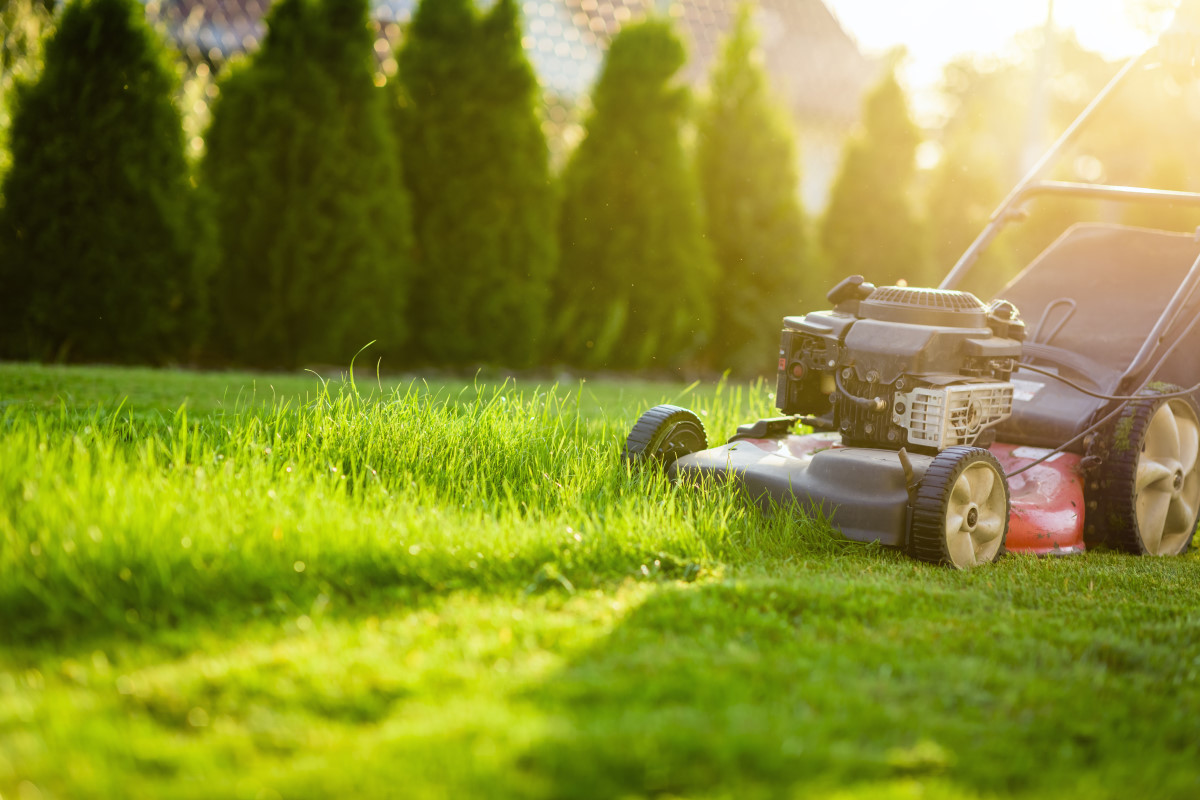 L'achat d'une tondeuse de jardin