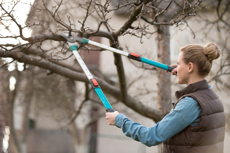 Utilisation d'un coupe branche à main